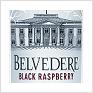 Belvedere Vodka   